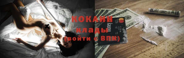 кокс Дмитриев