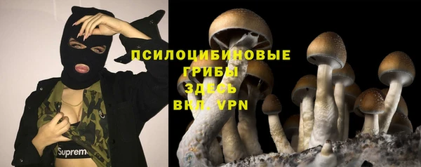 spice Елизово