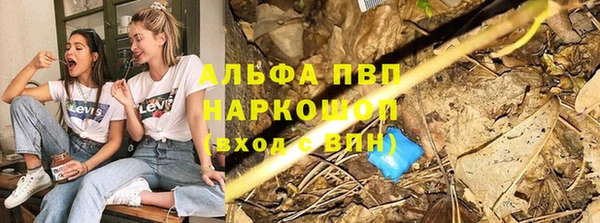 кокс Дмитриев