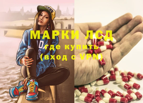 spice Елизово