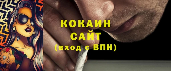 меф Ельня